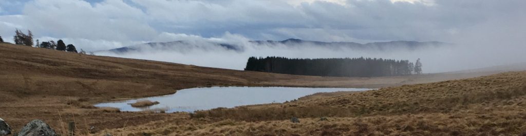 50,000 steps on the Mini Cateran Trail