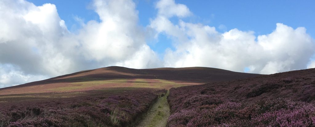 Skiddaw and Blencathra