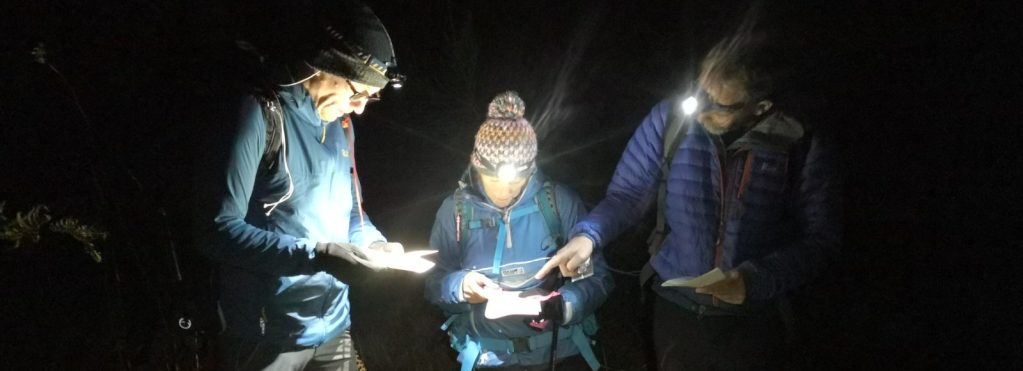 Navigation Skills: Strategy