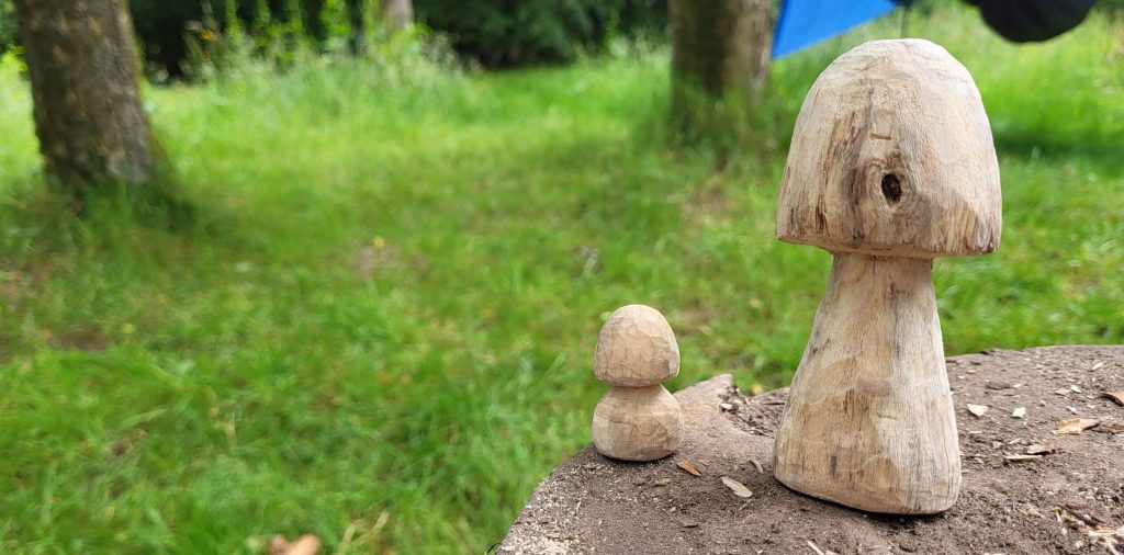 Dofe Bushcraft Residential, July 2022