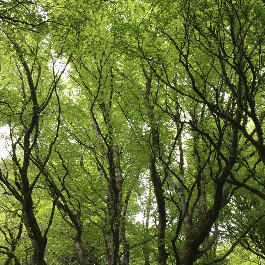 Lake District Open Silver Qualifying Expedition